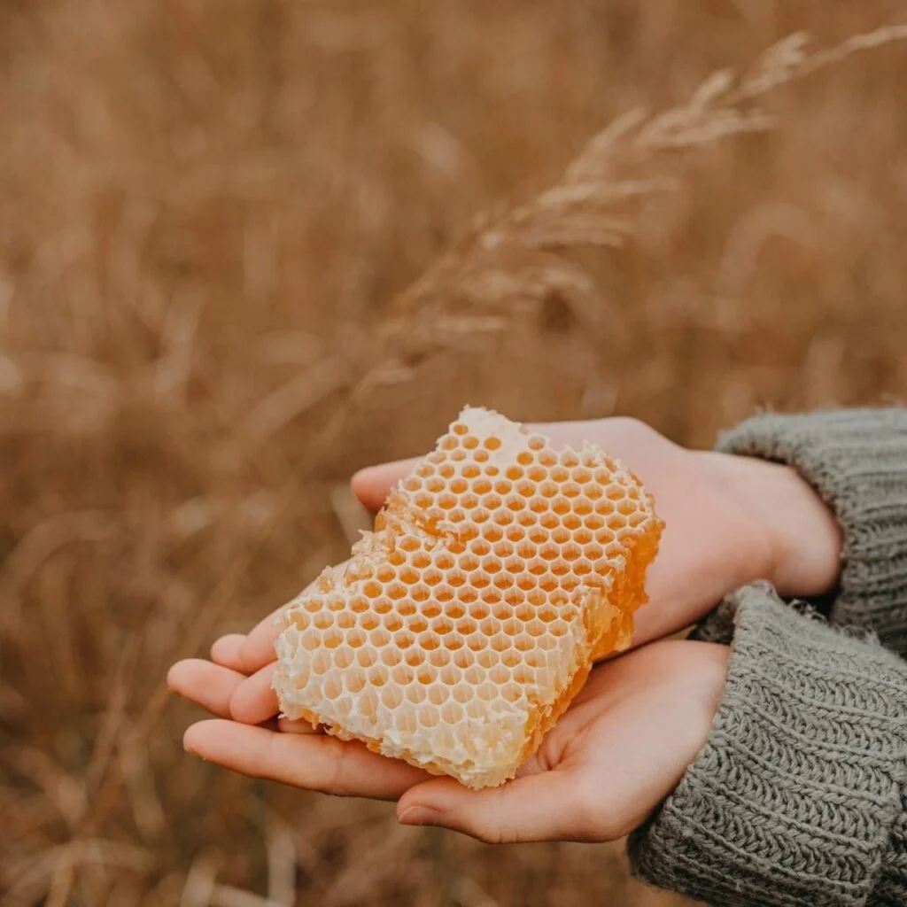 Panier des Sens